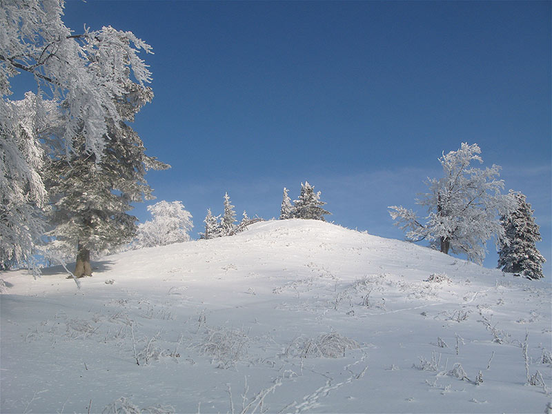 Gipfel der Kiensteiner de